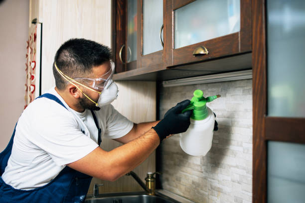 Best Affordable Pest Control Services  in Grand Haven, MI