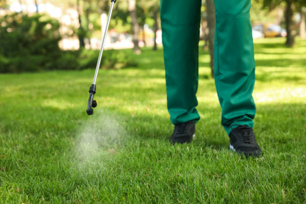 Best Ant Control Services  in Grand Haven, MI