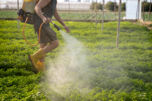 Best Wasp Removal Services  in Grand Haven, MI