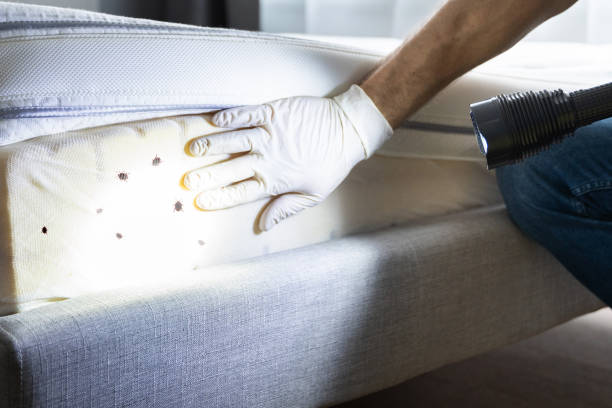 Best Exterminator Services  in Grand Haven, MI