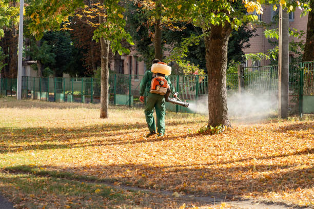 Best Emergency Pest Control  in Grand Haven, MI