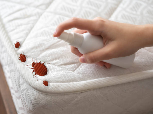 Best Mosquito Control Services  in Grand Haven, MI