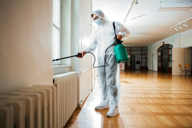 Insect Control in Grand Haven, MI