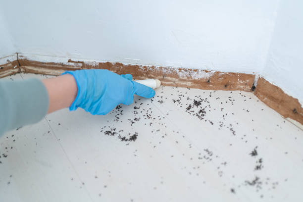 Best Best Pest Control Companies  in Grand Haven, MI