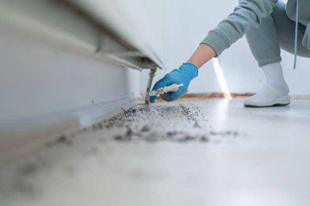 Best Pest Control for Homes  in Grand Haven, MI