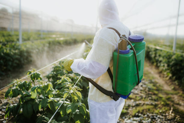 Best Residential Pest Control  in Grand Haven, MI
